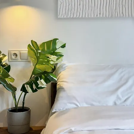 Guest house Cotiere *