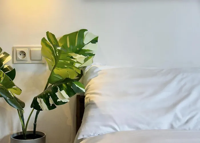 Guest house Cotiere 3*